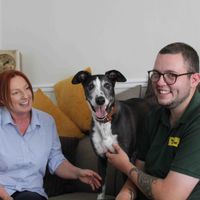 Photo of a lady called Jacqui and her new rescue dog Badger a black and white Lurcher. They are sitting on a brown leather sofa along with Rehoming staff member Jacob.