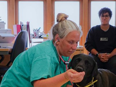 Veterinary Support Fund (VSF)
