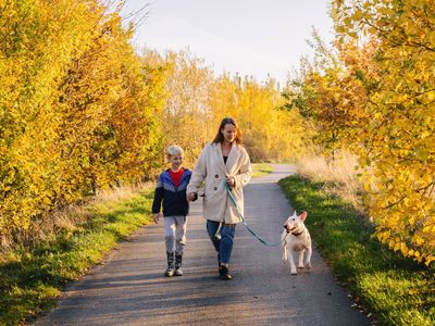 Staying safe around dogs when out and about