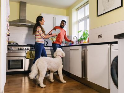 Why your dog follows you