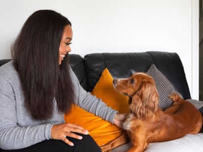 Give freedom to dog owners experiencing domestic abuse