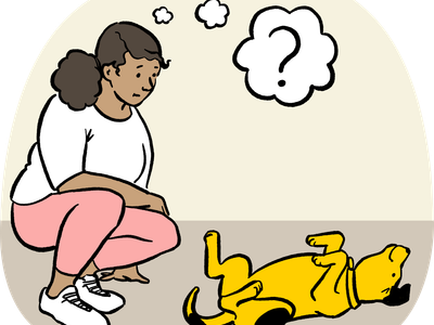 Illustration of owner trying to read dog body language