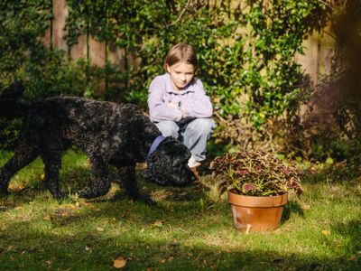 Supporting children after the loss of a pet