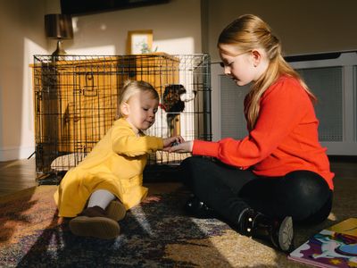 Wellbeing, dogs and me