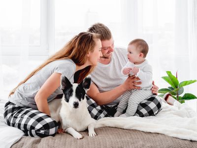 How to introduce your dog to your new baby