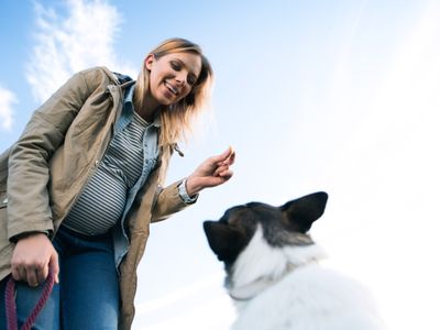 Owning a dog when you’re pregnant