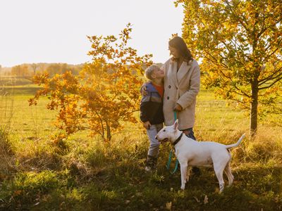 What are the benefits of owning a dog?
