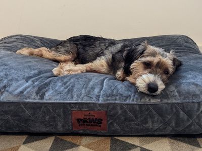 Slumberdown
