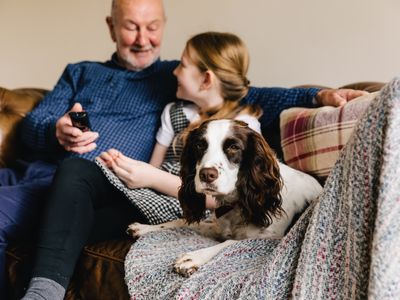 Solicitors and Executors