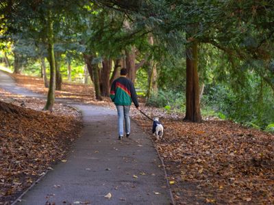 Finding our happy place: Together Through Homelessness  