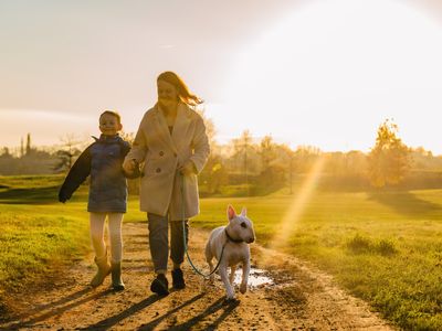 Responsible dog ownership