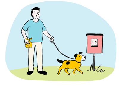 Dog peeing or pooing in the house: how to help