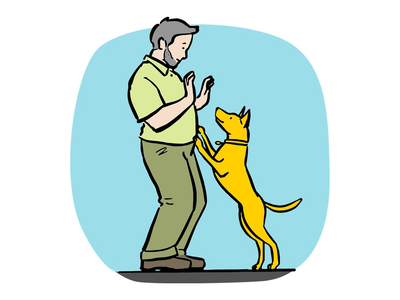 How to stop your dog jumping up at people