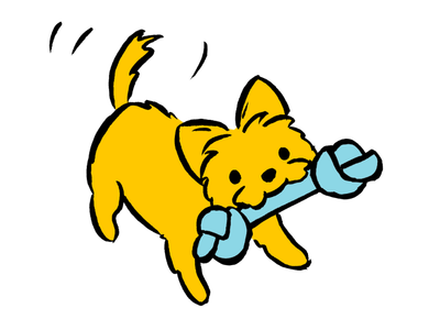 Destructive behaviour in dogs: how to stop it