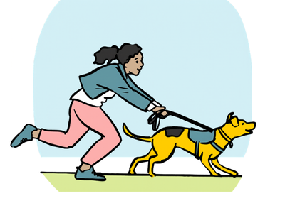 Reactive dogs: why it happens and how to help