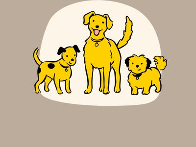 Illustration of three yellow dogs in front of beige shapes
