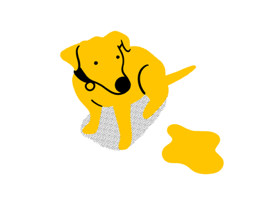 Dog peeing or pooing in the house: how to help