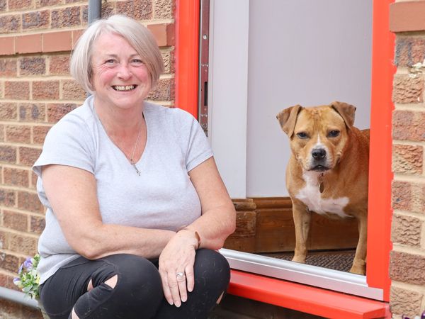 Foster carer Sue sitting with American Bulldog Major