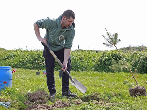 Volunteer for Tree Action UK planting trees at Dogs Trust Shoreham