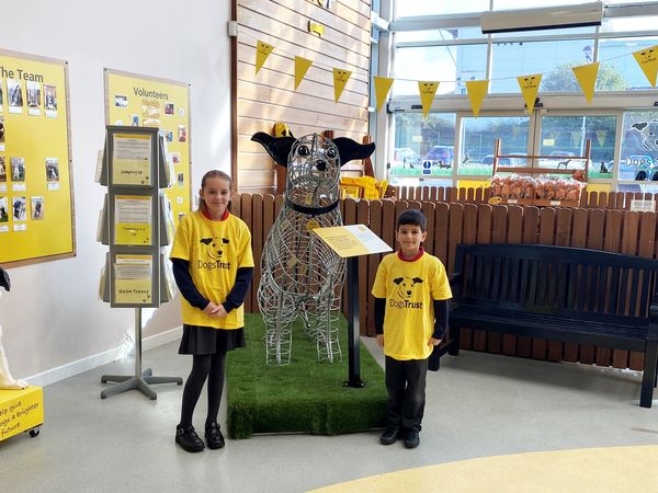 Schoolchildren visit the Dogs Trust Manchester rehoming centre