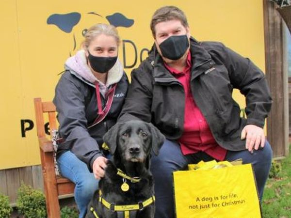Tia the Labrador sitting with her new owners