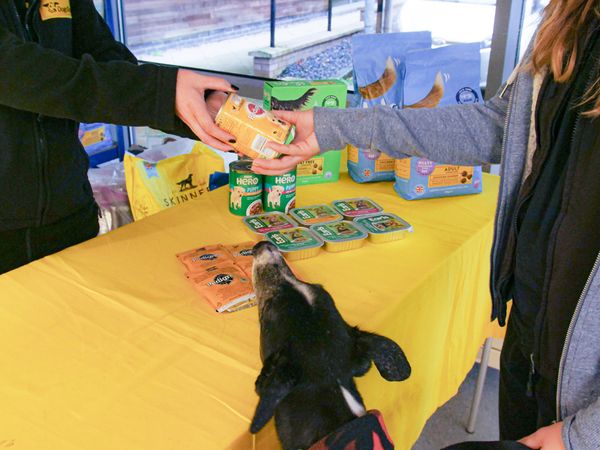 Dogs Trust food bank