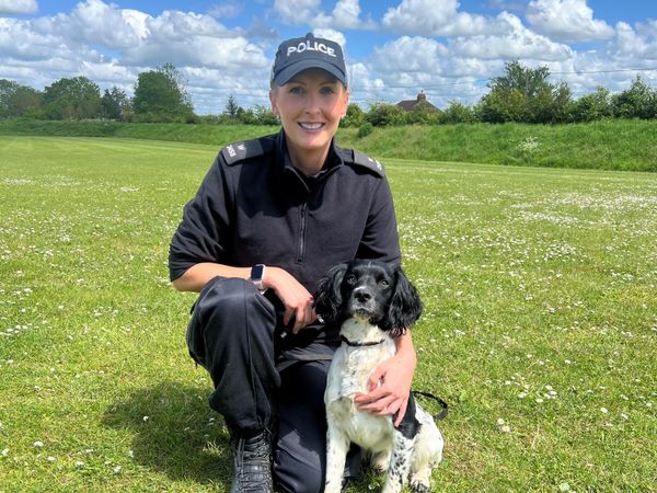 Wiltshire police officer Emma Rice kneeling down in a park with Reggie a black and white Springer Spaniel police dog