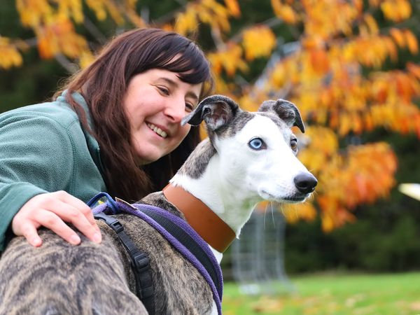 Missi a grey and white Whippet with canine carer Molly Hibbert smiling outside