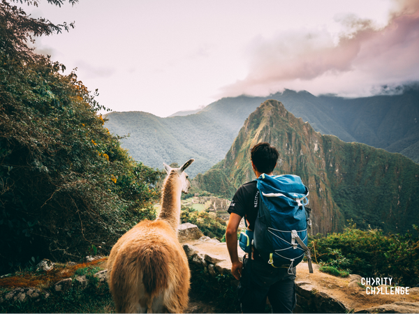 a man with a large blue backpack on standing next to a llama looking out onto machu pichu heritage site