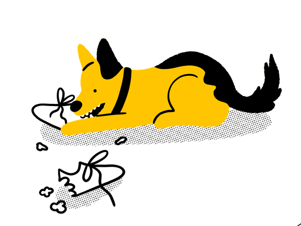 Illustration of a yellow and black dog destroying a shoe