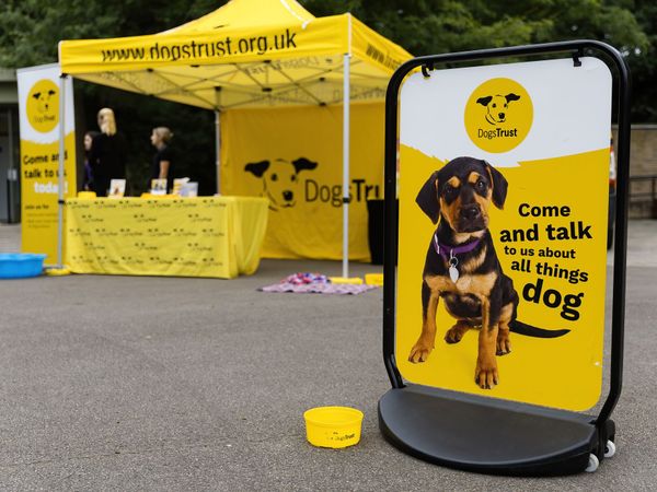 Dogs Trust Community Event