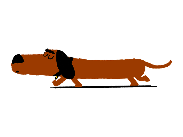 Illustration of sausage dog walking