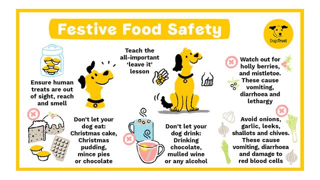 Festive food safety infographic