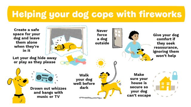 what to do during fireworks
