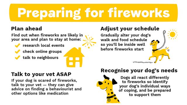 preparing for fireworks 