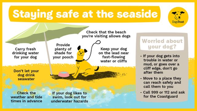 Staying safe in hot weather at the seaside infographic. Carry fresh water, check the beach your visiting allows dogs, provide plenty of shade, keep them on a lead in fast-flowing water and look out for hazards. If you're worried about your dog move to a place of safety and call 999 or 112 for coastguard.
