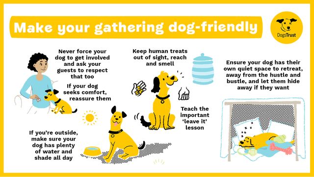 Infographic about making your gathering and parties safe and dog-friendly. Never force your dog to get involved in activities, make sure they have a safe space to go to and teach them leave it to keep safe around human treats.