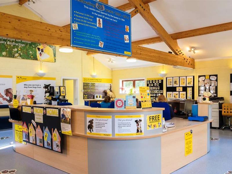 West Calder Rehoming Centre interior at reception