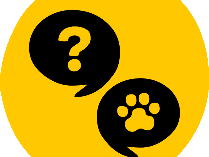 Post adoption support - black on yellow icon
