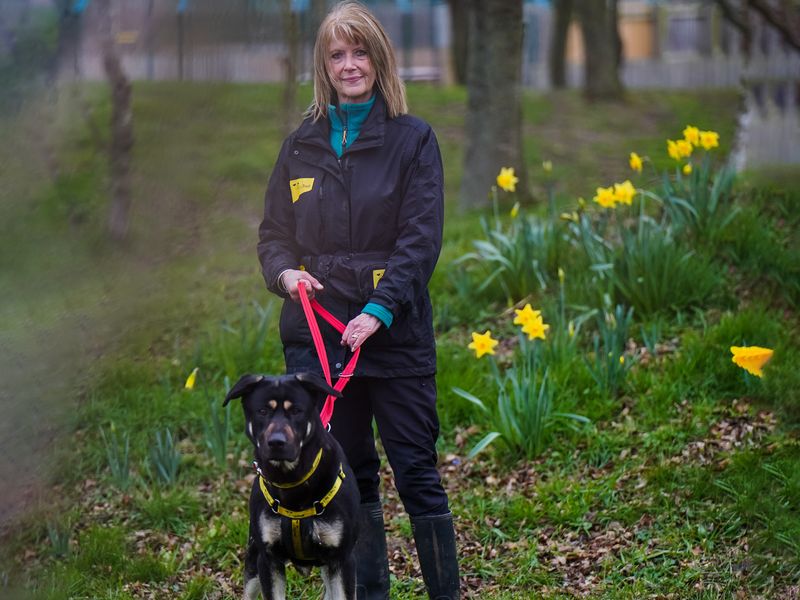 Jane the volunteer walking Pablo the Crossbreed