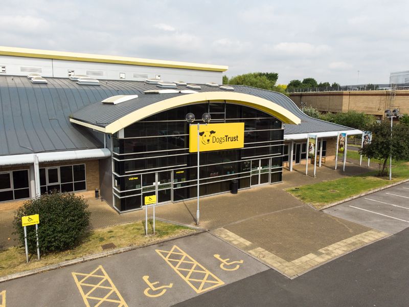 Reception at Dogs Trust Manchester