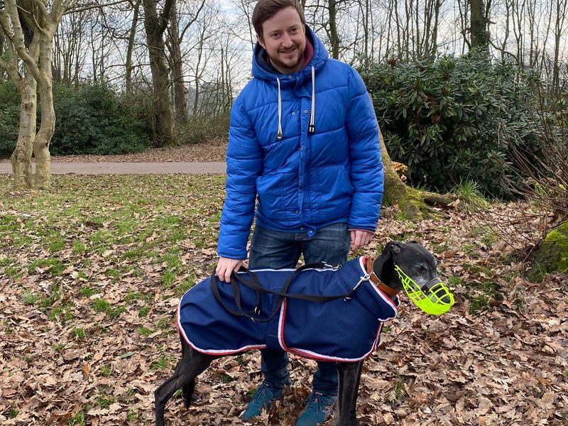 Jack loving life in his forever home