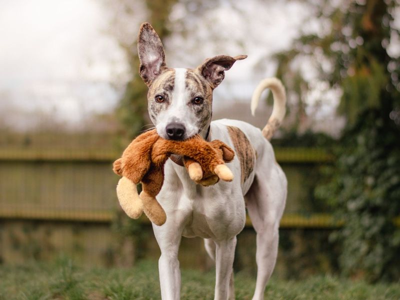 Axel outside with a soft toy