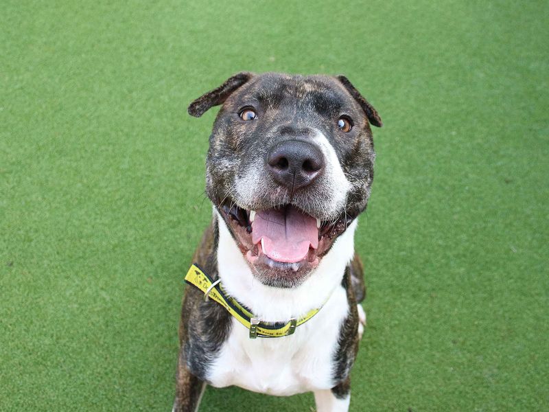Reg the Underdog smiles outside