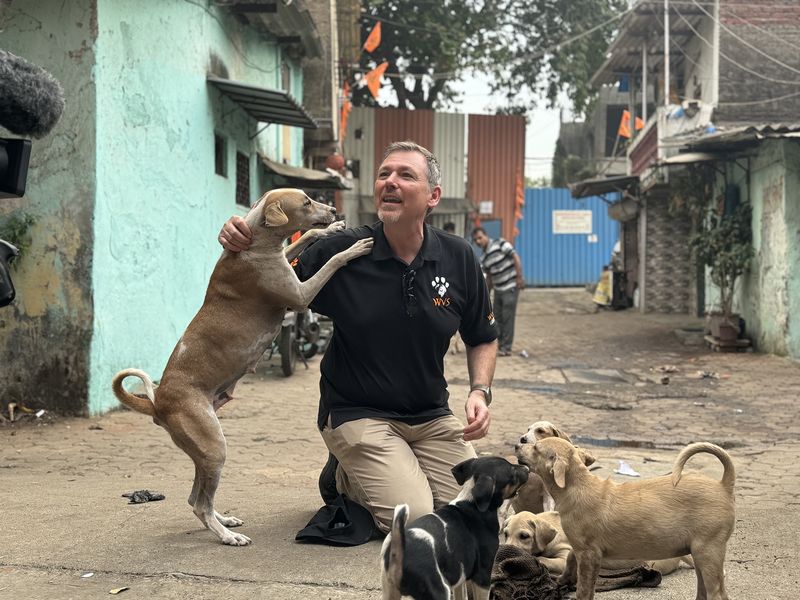 Dogs Trust CEO Owen Sharp surrounded by stray puppies in Mumbai