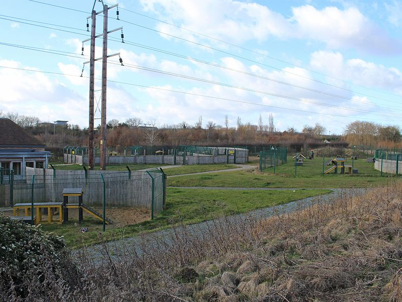 Basildon Rehoming Centre exterior with play areas.