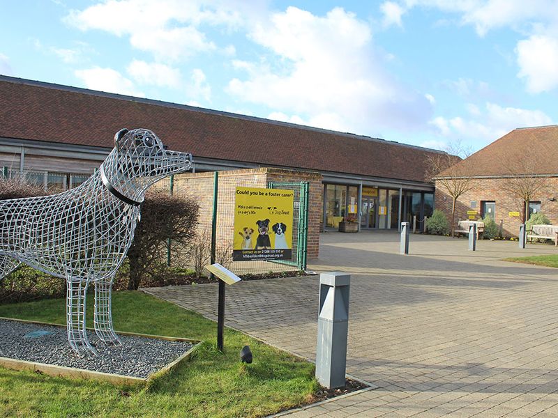 Basildon Rehoming Centre exterior with dog tag sculpture.