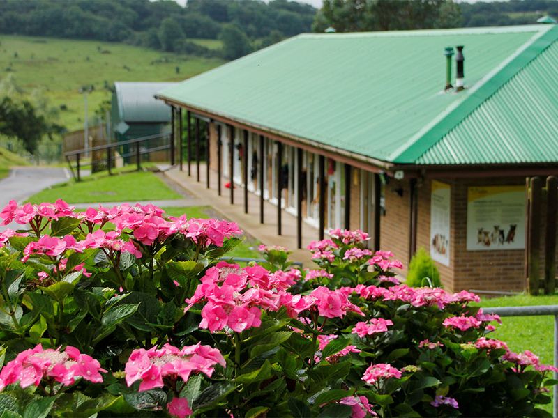 Bridgend Rehoming Centre exterior with flowers.