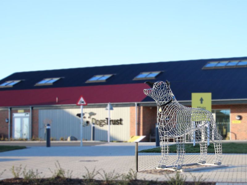 Darlington Rehoming Centre exterior with sculpture.