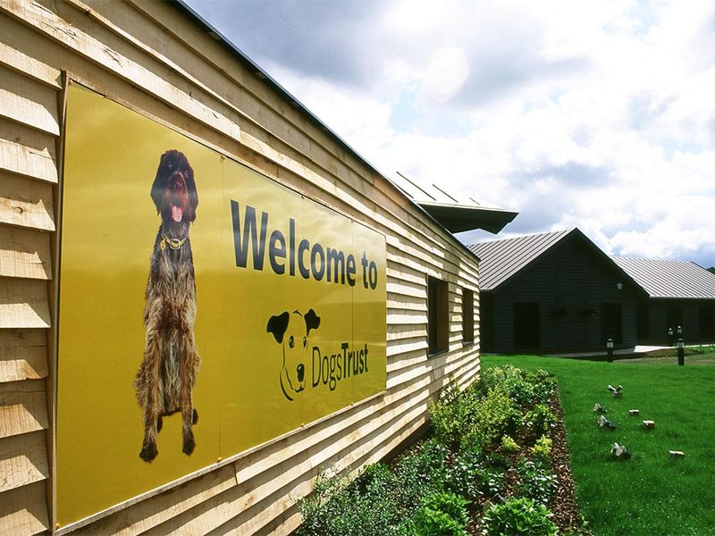 Harefield Rehoming Centre exterior with DT yellow welcome sign.